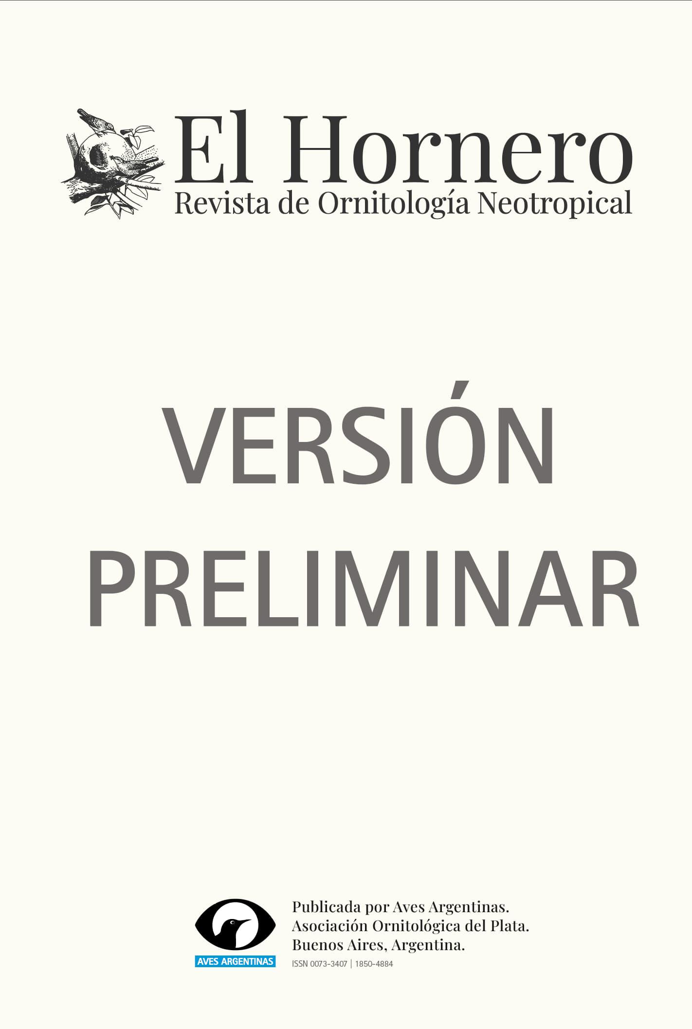 Tapa preliminar del número actual